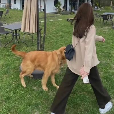 摇摆不定